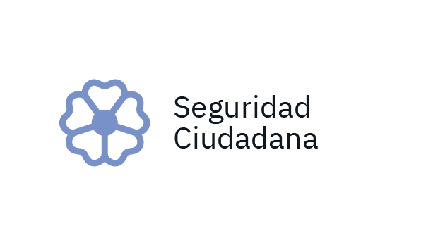 Seguridad Ciudadana