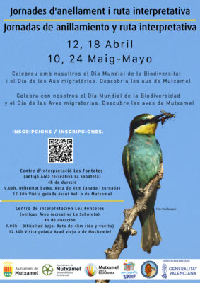 jornadas de anillamiento y ruta interpretativa