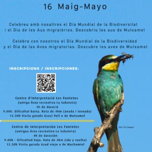 jornada de anillamiento y ruta interpretativa
