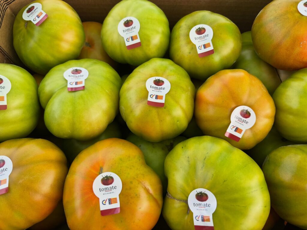 tomate muchamiel