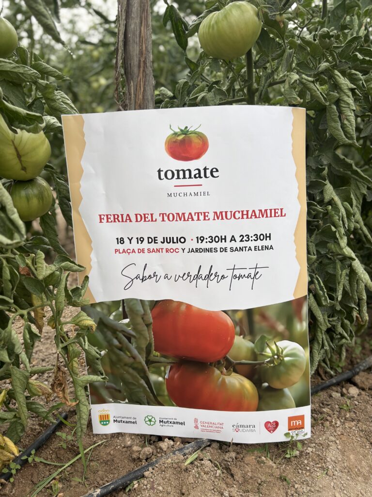 tomate