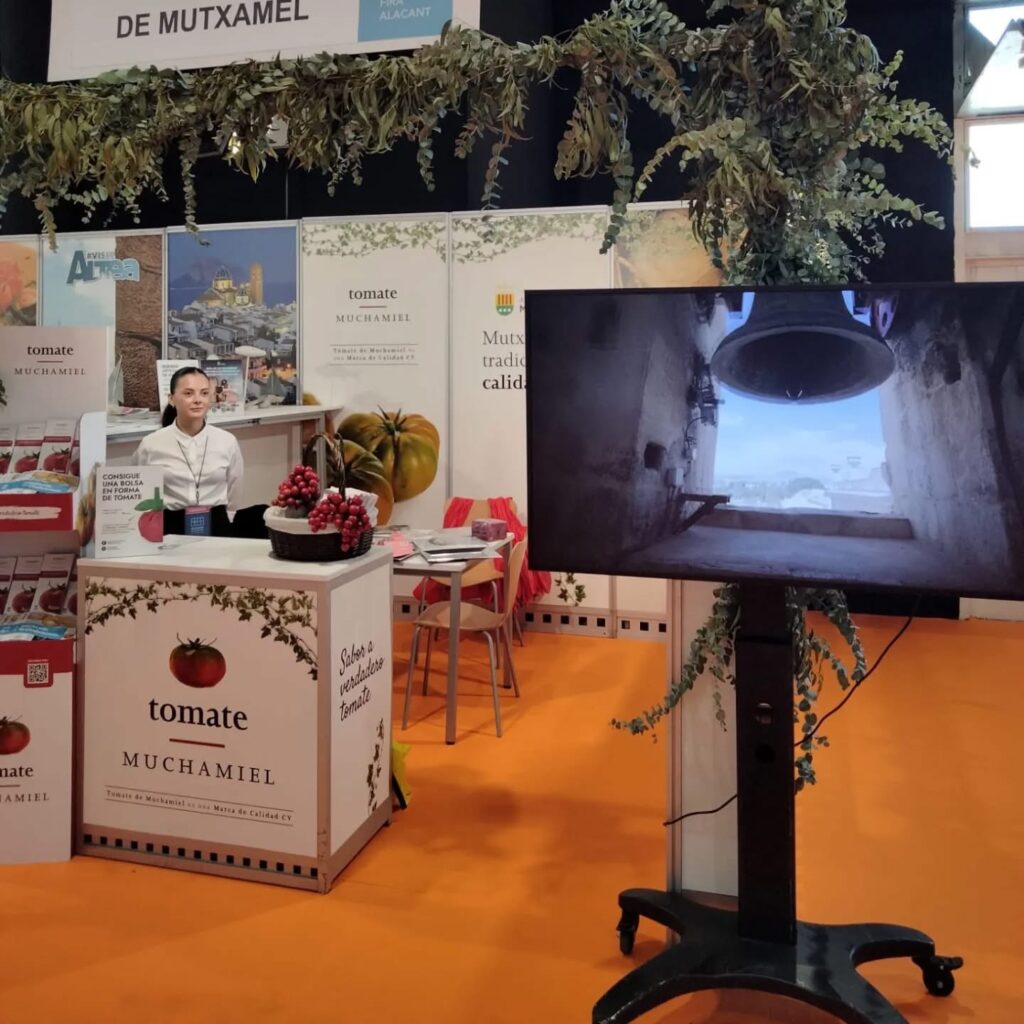 alicante gastronomica